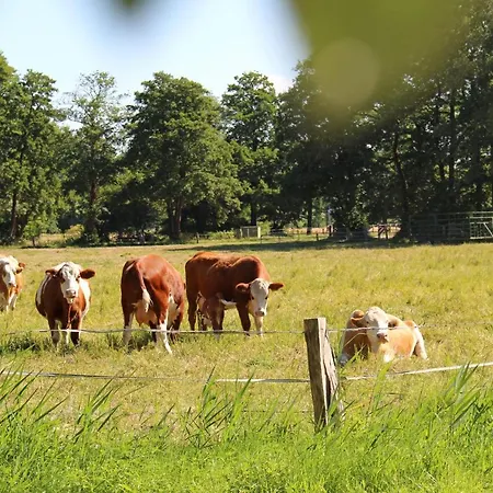 Hotel Zur Querensteder Muehle Bad Zwischenahn