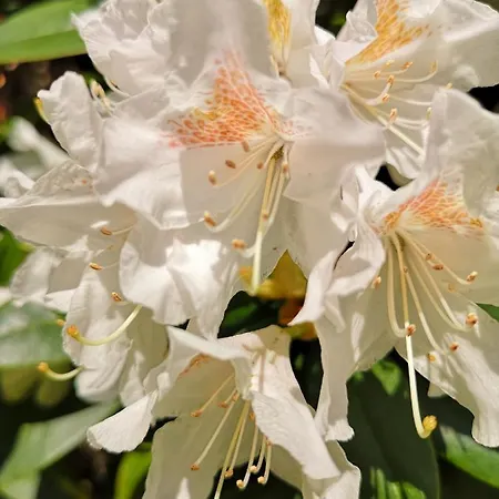 Zur Querensteder Muehle